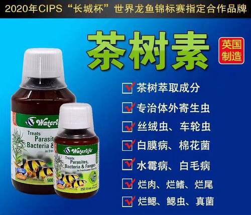 英国茶树立鳞外寄性感检疫细菌