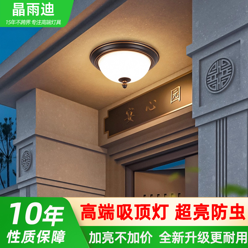 爆款-别墅大门吸顶灯-超亮防虫