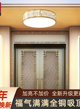 【全网爆款】别墅大门吸顶灯防虫