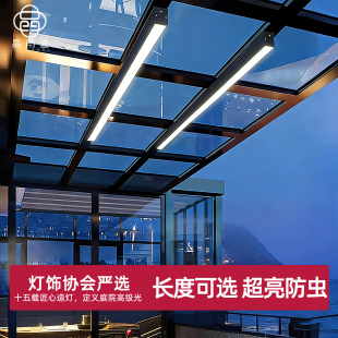 玻璃阳光房专用灯长条形超薄阳台吸顶灯庭院屋檐灯超亮雨棚照明灯