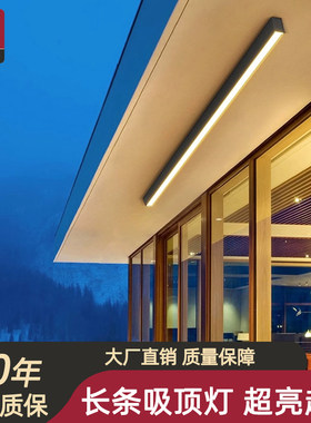 长条吸顶灯极薄一字灯明装条形灯超亮露台温室专用灯户外阳台灯