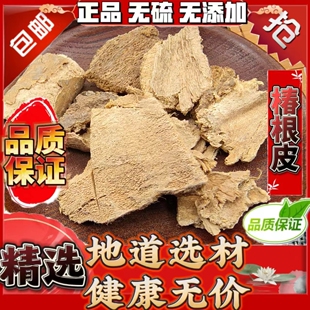 椿根皮中药材 野生椿根皮特级 臭椿树根皮无硫新货椿白皮药材