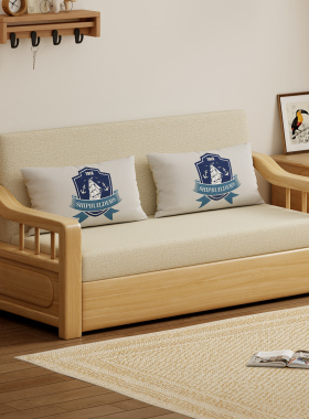 折叠单人沙发床小户型客厅多功能 2026年新款实木沙发床一体两用