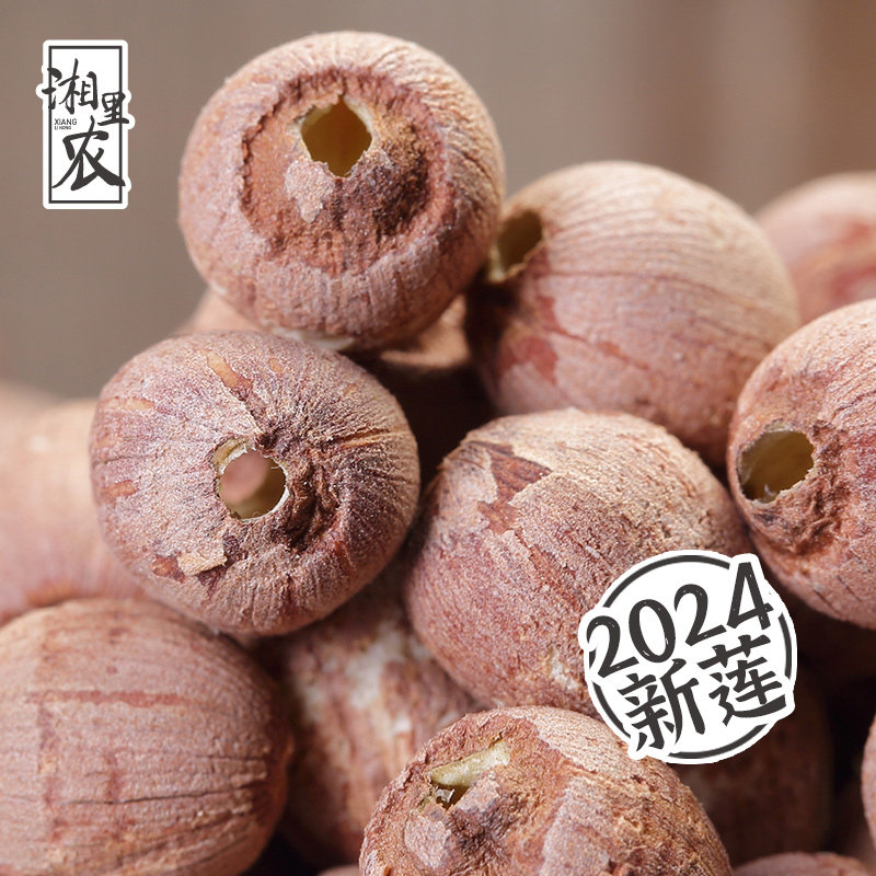 湘里农特级大号去芯红皮莲子干 干货500g 无硫湘潭湖南特产无心红