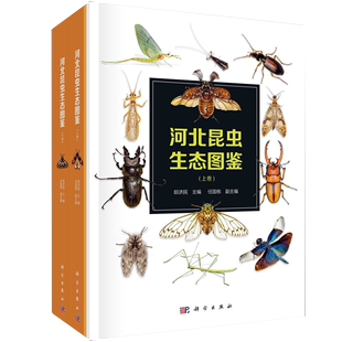 昆虫纲 上下卷 分类编排 科普性昆虫知识 邸济民编 河北昆虫生态图鉴. 原尾纲 书 双尾纲 弹尾纲