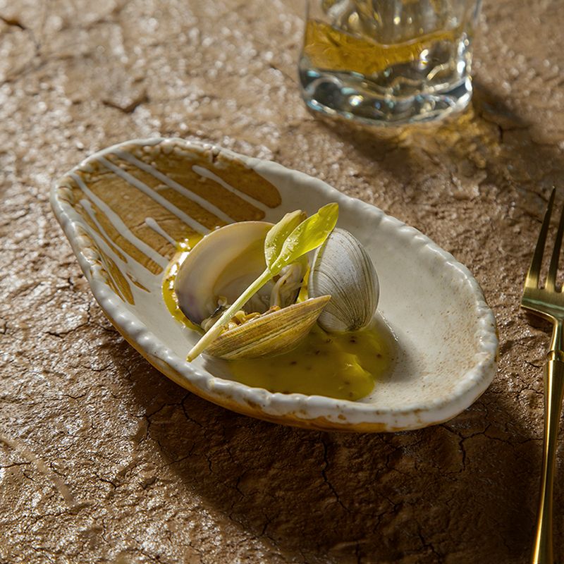 dxc艇盘陶瓷大众不规则