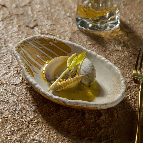 dxc艇盘陶瓷大众不规则