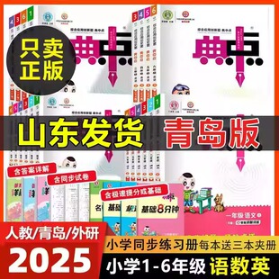 山东版】2025春小学典中点一二三四五六年级上下册语文数学英语人教版青岛版外研一起点三起点教材同步训练练习册课时作业本
