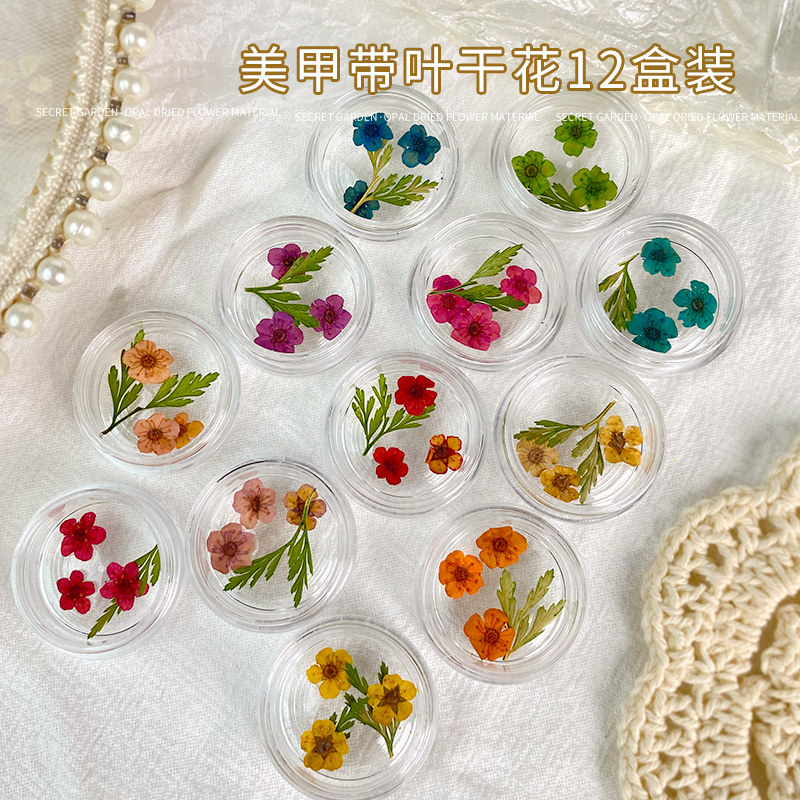 美甲干花指甲装饰专用2026材料包图片