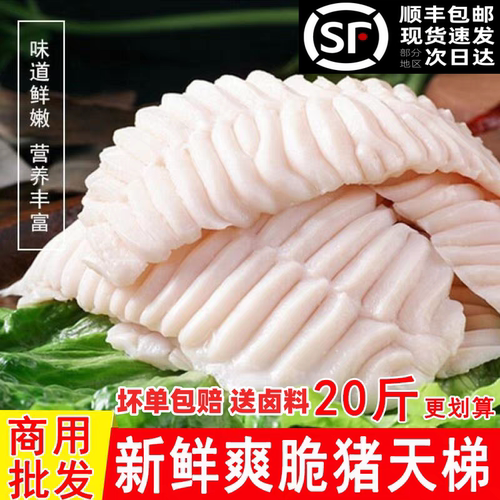 新鲜猪天梯猪板牙火锅烧烤商用
