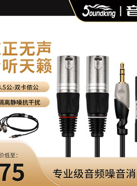 音王音频噪音消除器电流声杂音去噪降噪隔离器3.5转双卡农音频线
