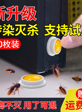 【40粒】蟑螂药大小通杀全涡端