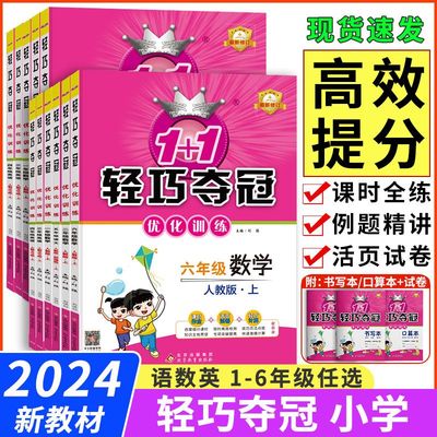 2024新小学轻巧夺冠优化训练