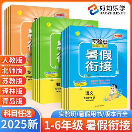 2025新版实验班提优训练暑假衔接一升二升三升四升五升六年级语文数学英语苏教版人教版译林版小学下册教材同步黄冈暑假作业本预习