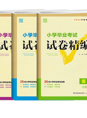 小学毕业考试试卷精编通成学典