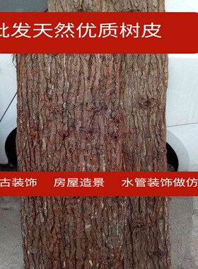 天然杉树皮真树皮装饰杉皮房屋造景防腐复古道具包水管树皮