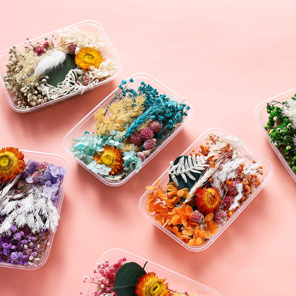 圣诞干果干花盒 肉桂 柠檬 松果 diy材料包干果装饰 天然植物干花,家居饰品,干花/花瓣/干花包/干树枝,淘宝优惠券,粉丝福利购,淘宝优惠卷