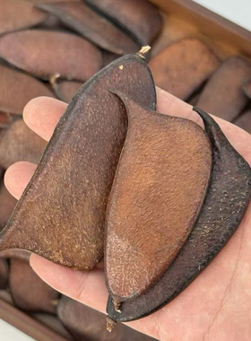 【音符豆】打孔植物果实豆荚手工diy冰箱贴干花干果实刀角摆件