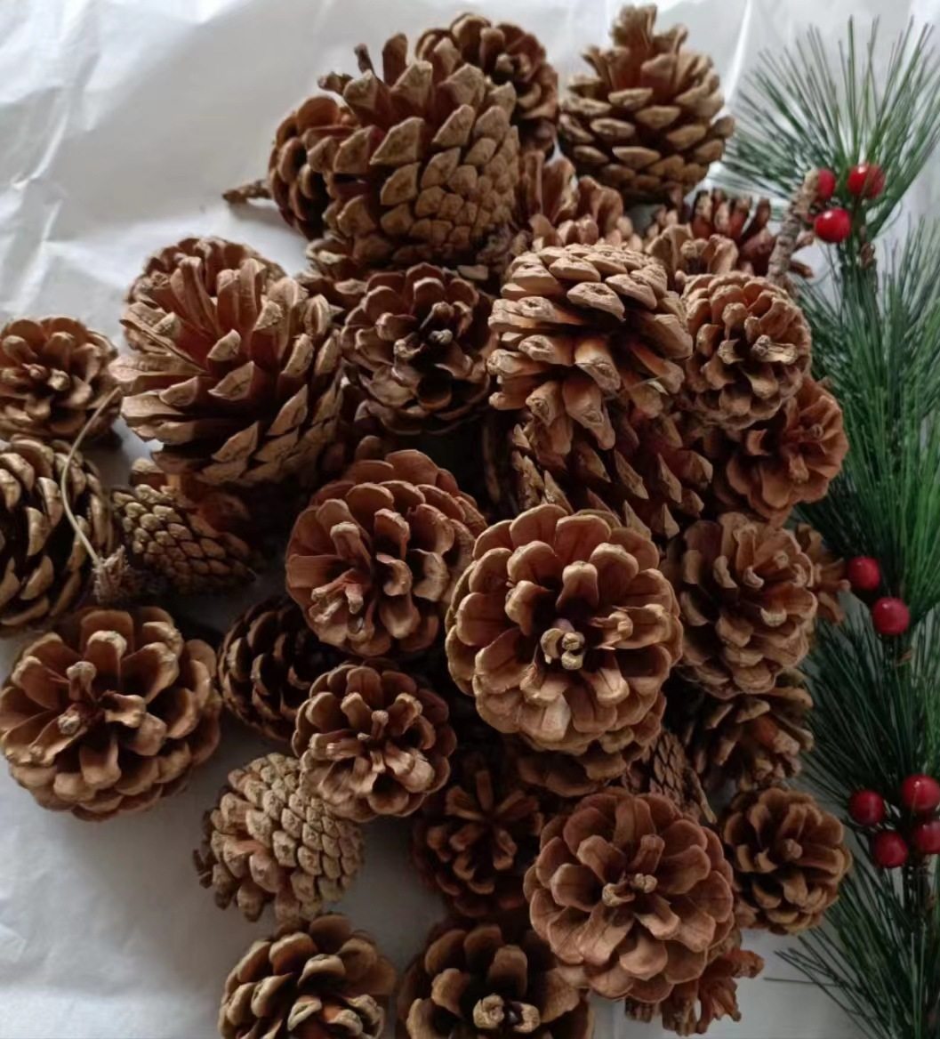 包邮拍2件送1件30个松果松球干花装饰幼儿手工创意diy森林材料松