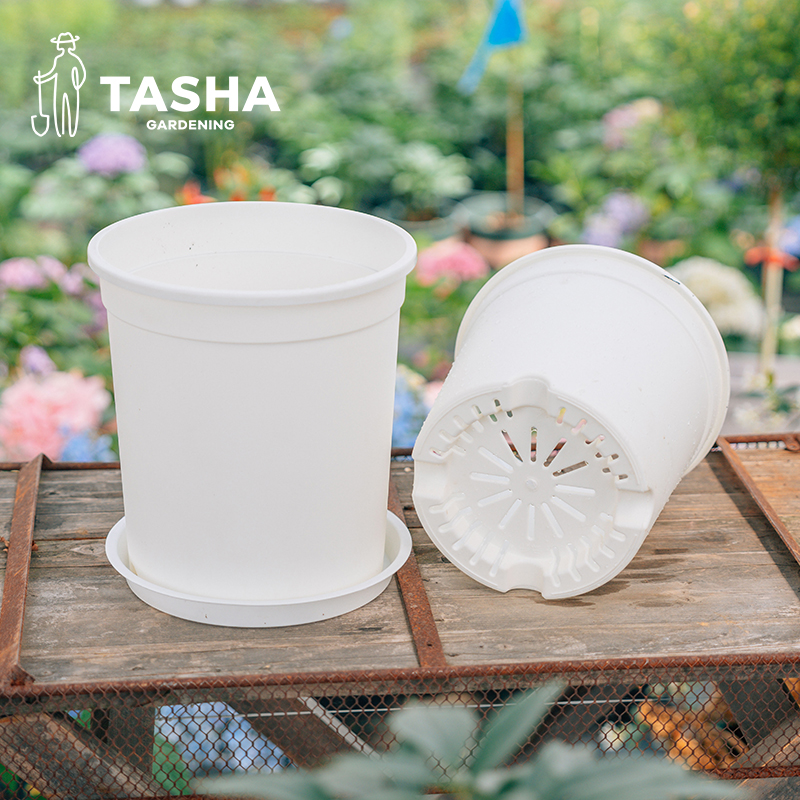 塔莎的花园塑料花盆简约植也值也加仑盆月季绣球果蔬用庭院室内外