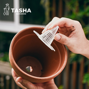 塔莎 花园花盆透气锥形沥水垫片绿植花卉植物花盆底部防烂根垫片