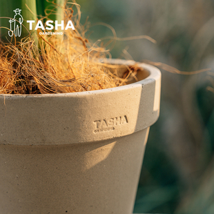 塔莎的花园白陶土花盆国际小大号粗陶多肉兰花盆家用阳台种菜专用