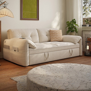 政府补贴大象耳朵可拆洗沙发床可伸缩折叠一体两用小户型2026新款