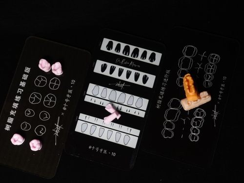【联名】张林x十号牙医丶10 树脂堆塑练习合集 练习板 练习模型