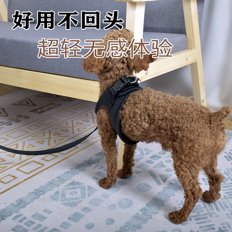 牵引带狗链子狗狗牵引绳小型犬