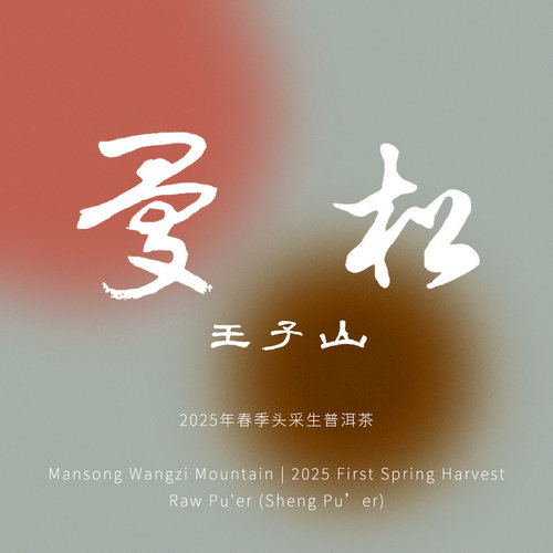 【曼松王子山】丝绸汤感 2025年头春挑采生普洱茶花香晒青毛茶