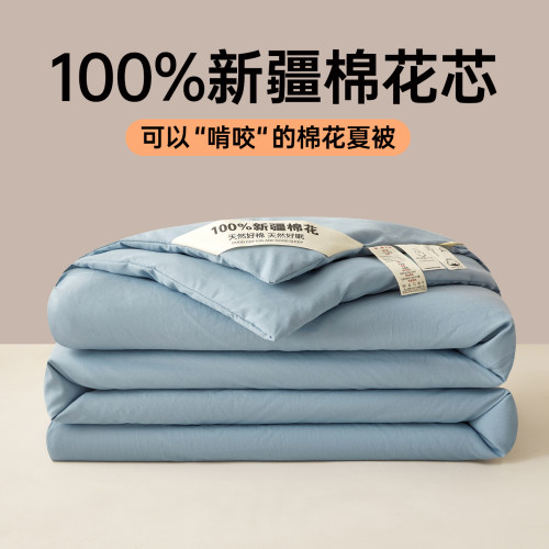 100%水洗棉新疆棉花被