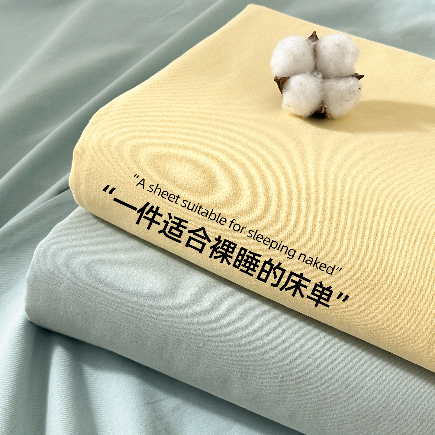 冬季磨毛床单单件纯棉100全棉