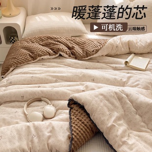 a类豆豆绒被子冬被加厚保暖全棉纯棉春秋被冬季 单人双人棉被被芯