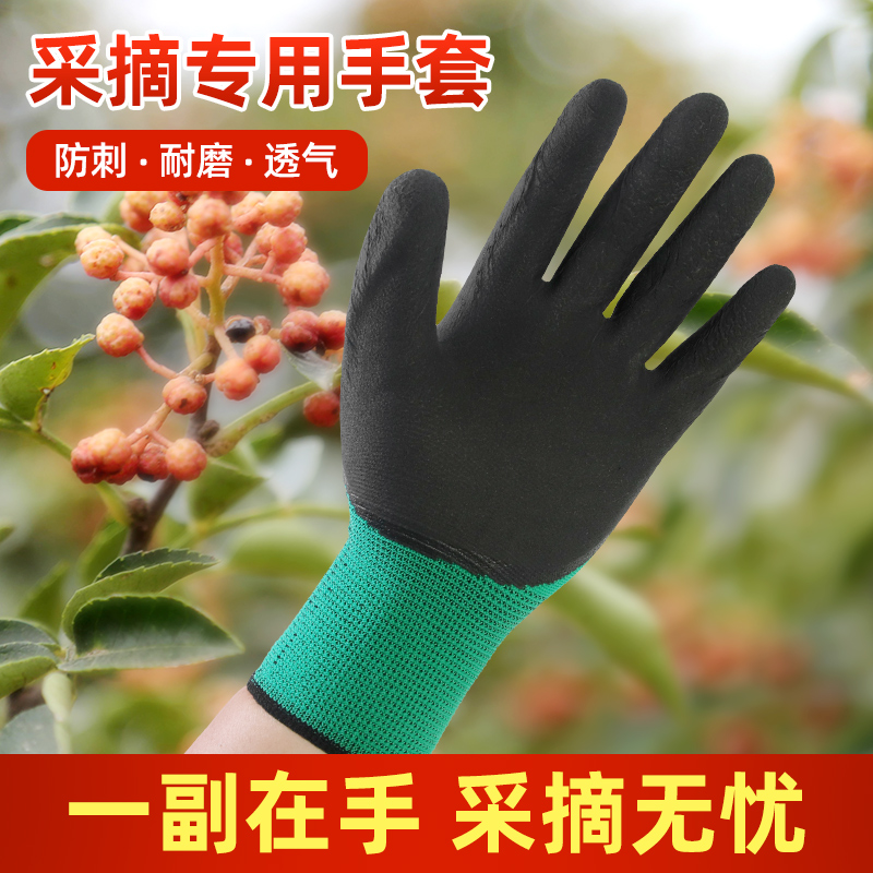 防扎防刺花椒采摘手套加厚耐用