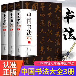 3册 正版 中国书法一本通书法篆书楷书草书基础理论常识鉴赏简史极简书法史练习方法技法源流十讲教程教材培训字帖大全书籍