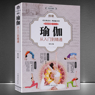 彩图典藏版 快速入门养心强身 瑜伽健身技巧与方法全彩书籍 图解瑜伽：从入门到精通