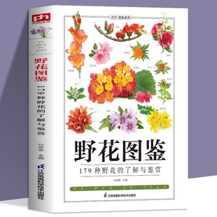 野花图鉴常见花卉园林植物识别图鉴 张彦妮贺风春园林花草树木植物野花野外识别鉴赏速查手册图谱图鉴百科全书花卉养殖科普书籍