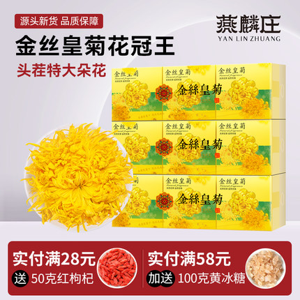 燕麟庄菊花茶金丝皇菊12cm黄菊一朵一杯大朵特产贡菊级礼盒旗舰店
