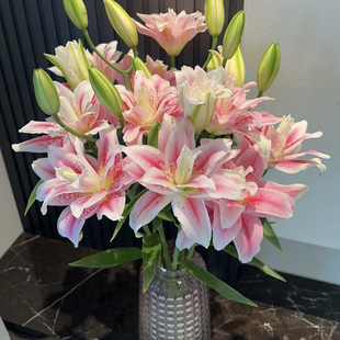 上海种业（太平盛世）重瓣香水百合云南基地直发家庭办公水养鲜花