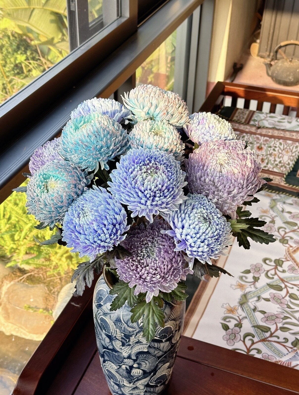 丰岛双A级富贵（牡丹菊）吸色颜色美花期长云南基地直发鲜切花 - 实物图