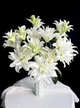 （艾莎）重瓣百合又名浪漫之星无花蕊高级优雅家庭办公水养鲜切花