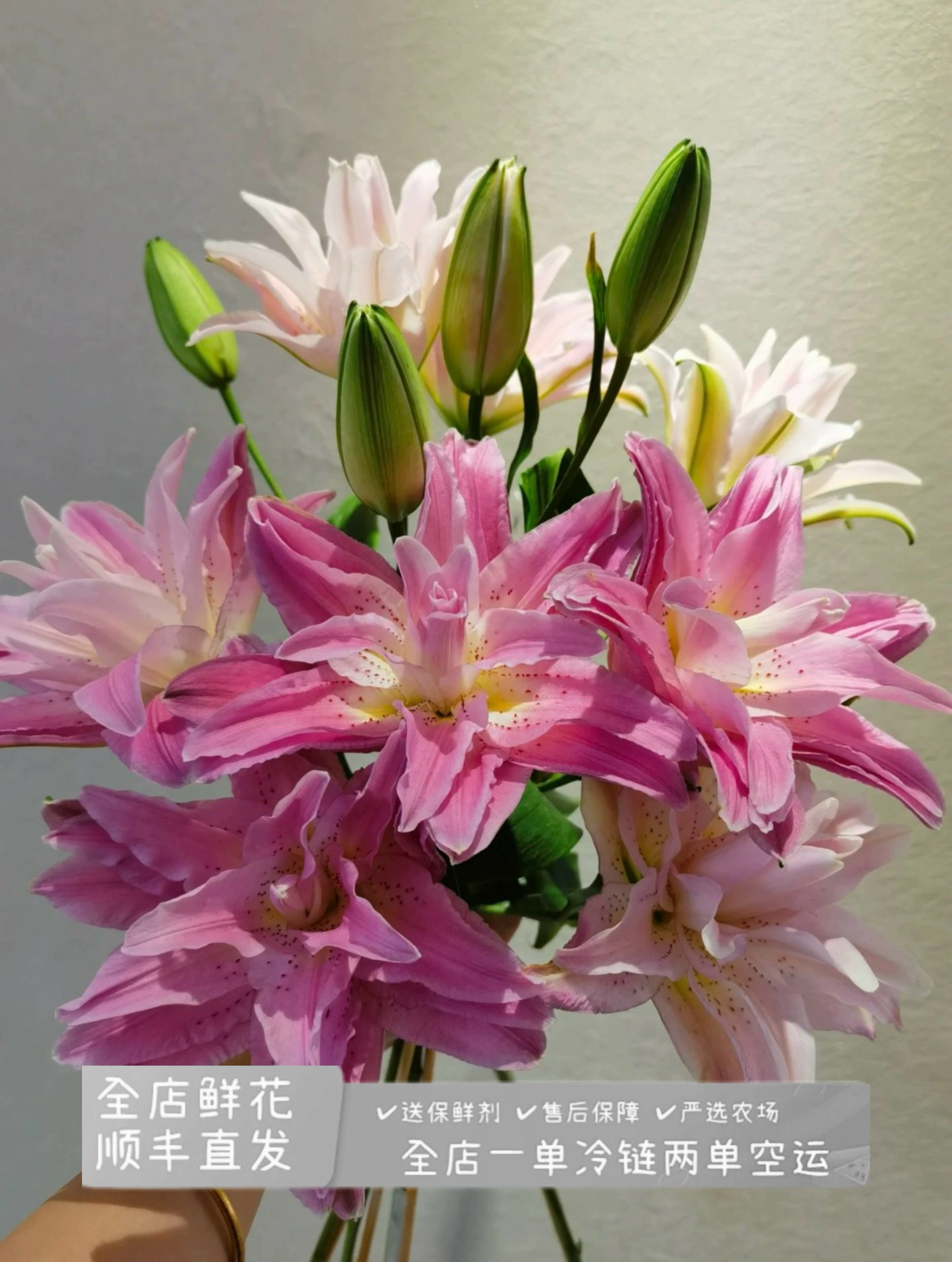 上海种业(红蜜糖水晶)重瓣香水百合好养好开家庭办公水养鲜切花
