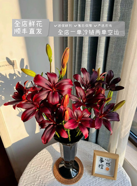 （黑宝石）亚百合高级黑红色花瓣油画质感花苞小巧家庭办公水养