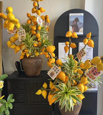 五代同堂黄金果鲜花云南直发五袋果 福禄果鲜切花五指茄插花乳茄