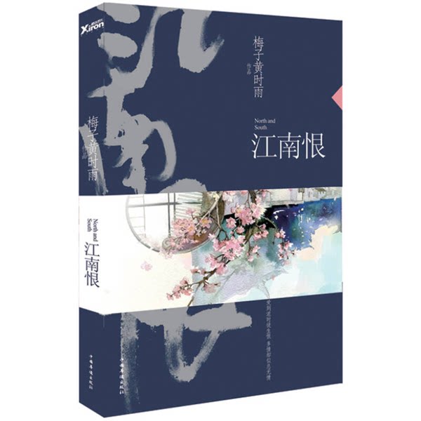 正版图书丨 江南恨（再版）  梅子黄时雨 9787511344830