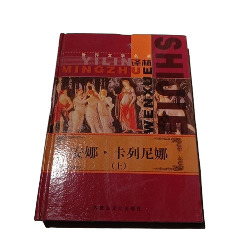 正版图书丨 红字.茶花女  （俄）陀思妥耶夫斯基著；钱慧颖 9787805069975