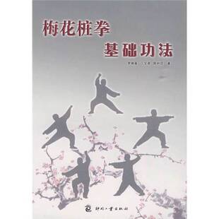 正版9成新图书丨 梅花桩拳基础功法 李佩基,丁宝源,陈树昆著 9787800008740