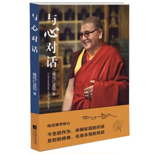 正版9成新图书丨 与心对话：向活佛学放心  嘎玛仁波切著 9787539989563