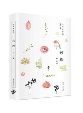 正版图书丨 小说家的诗：过程 一版一印  林白著 9787205088125