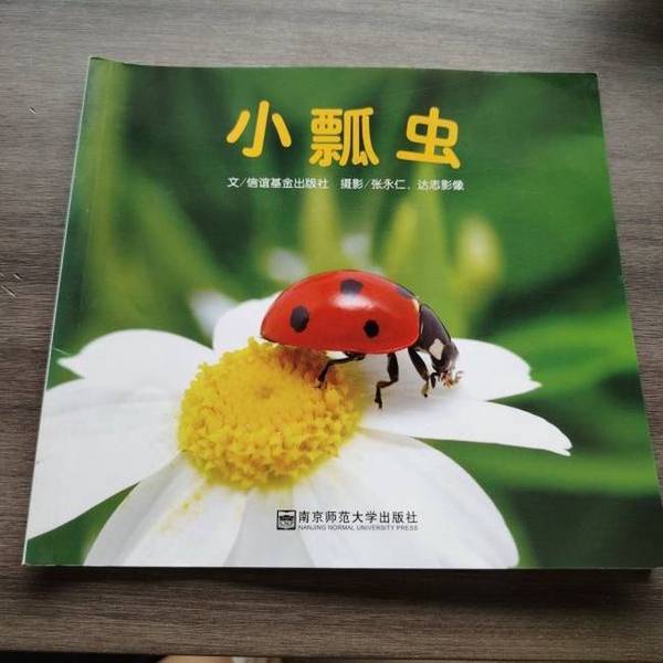 正版图书丨 多多什么都爱吃  周蜕 9787565131172图片